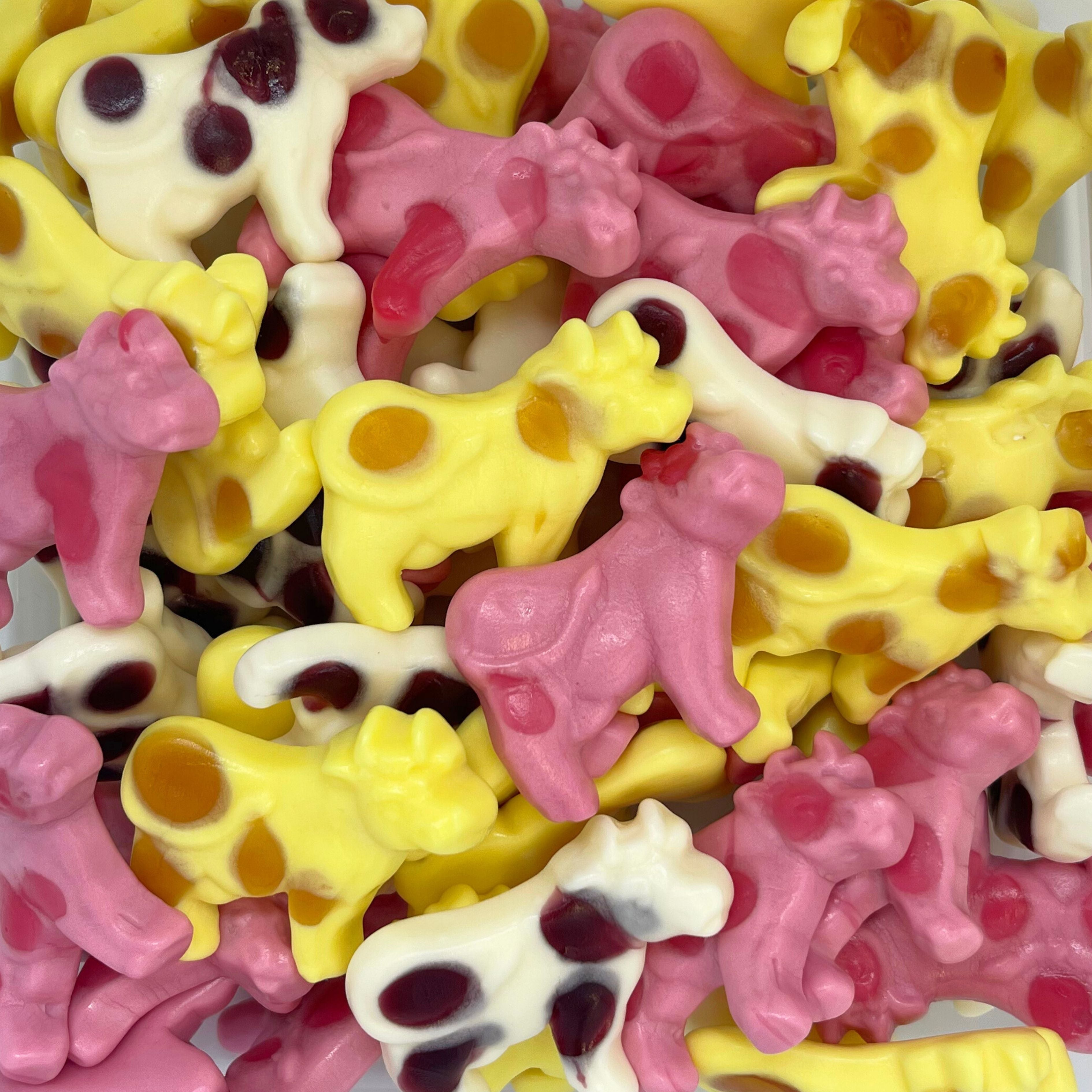 Soft Chewy Foam Cow Candy Fruity Fun Treat Swedisweets soft-chewy-foam-cow-candy-fruity-fun-treat-swedisweets