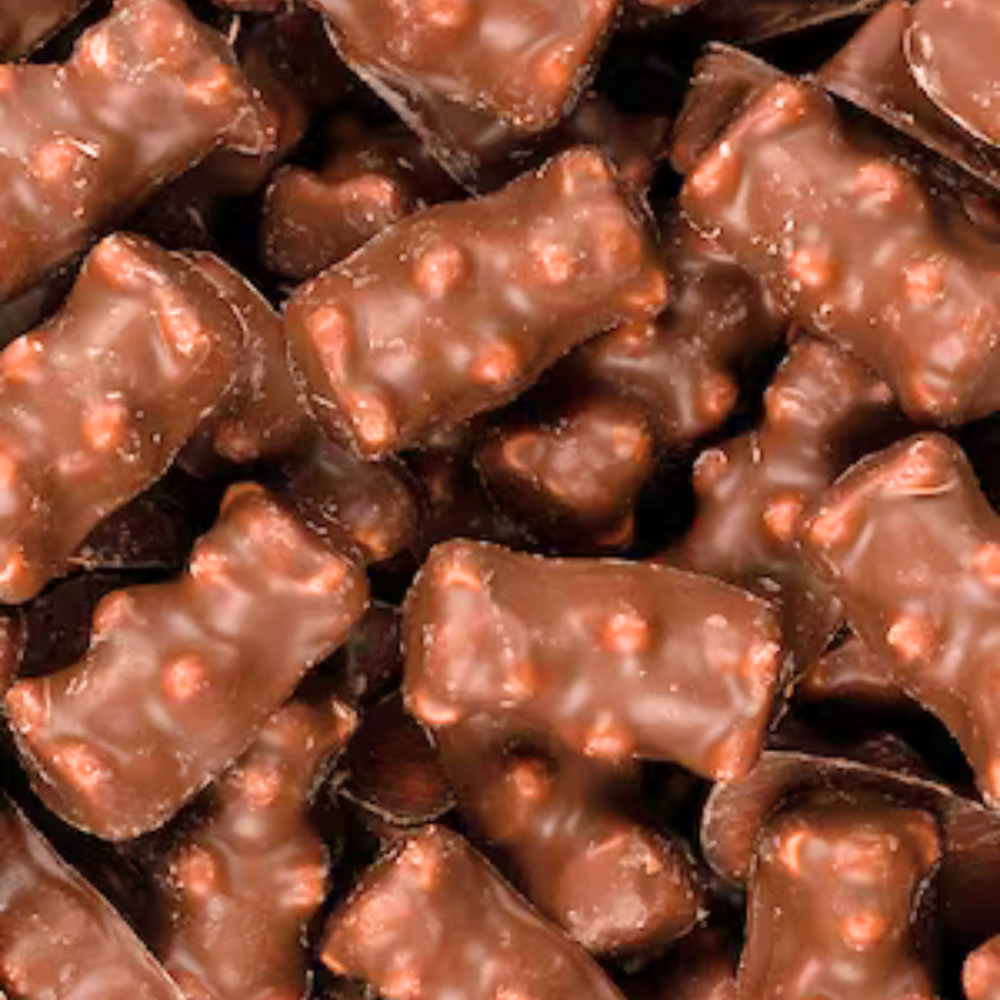 Chocolate Teddy Bear