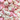 Skumkantareller Vanilla & Strawberry