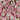 Sour Cherry Candy